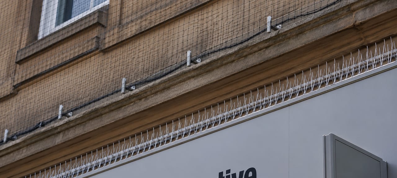 Anti-roosting spikes and bird netting protecting the ledge and sign above a commercial storefront