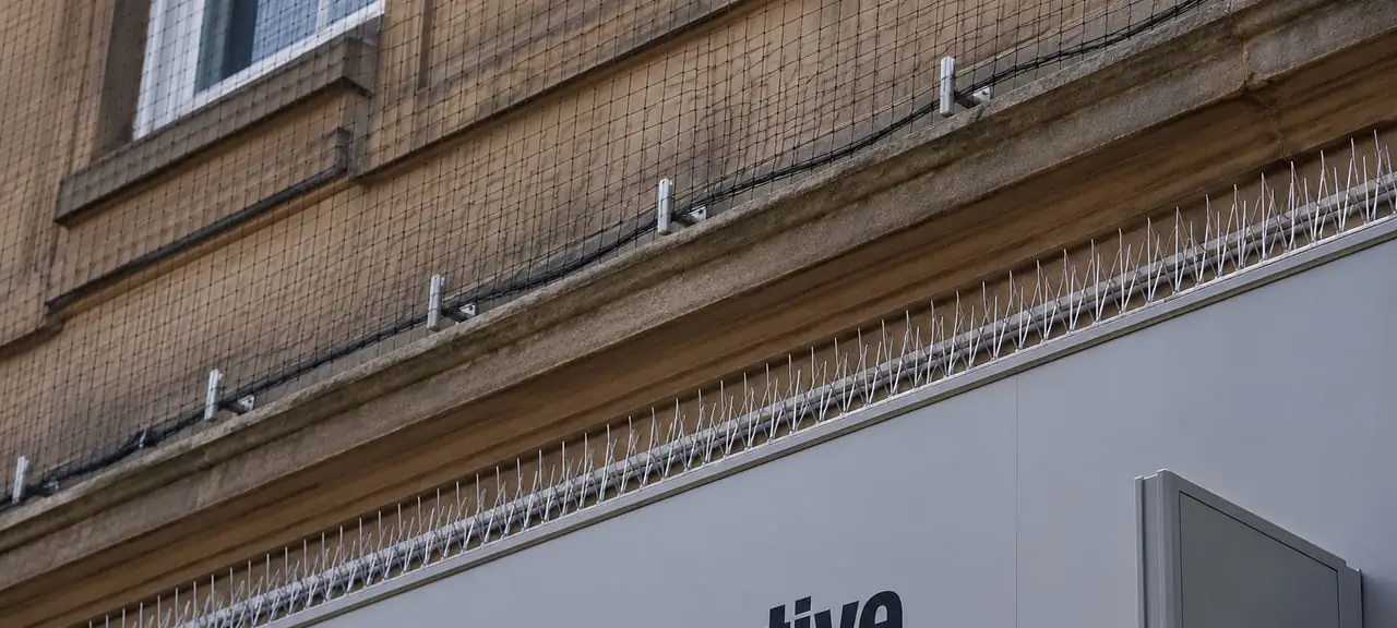 Anti-roosting spikes and bird netting protecting the ledge and sign above a commercial storefront