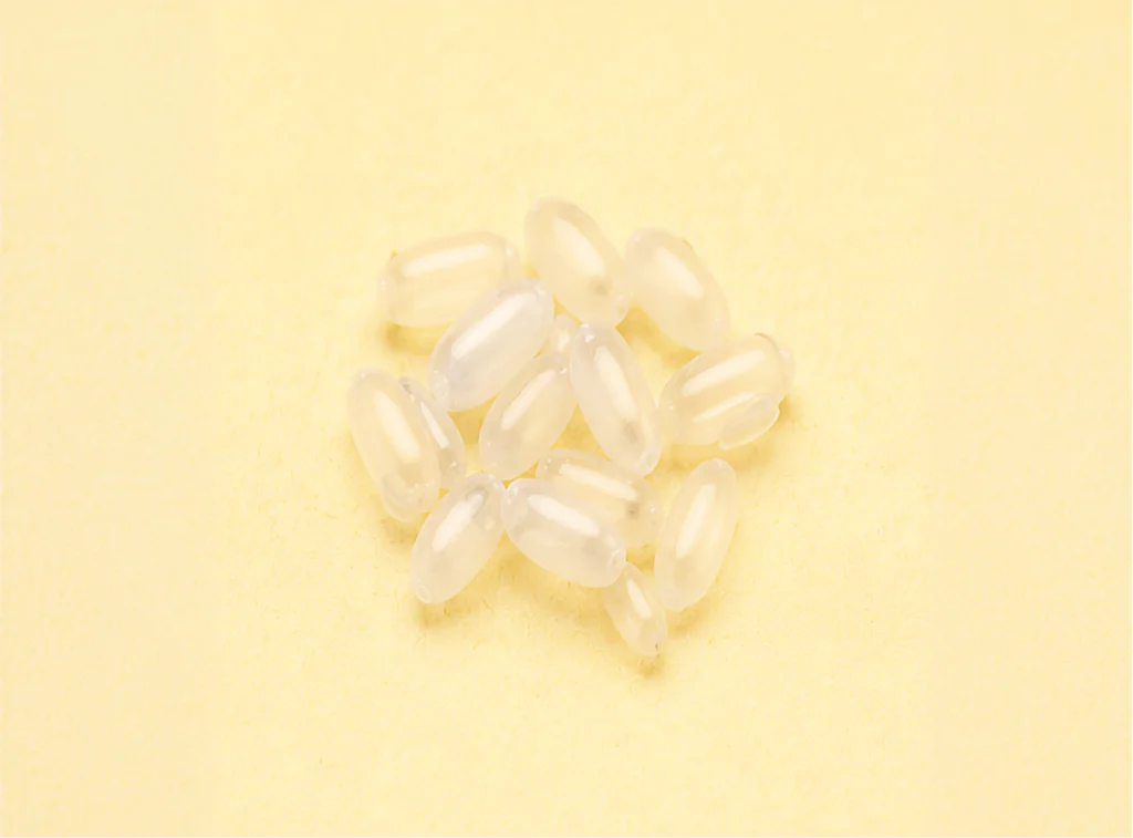 Cluster of pearl-white bed bug eggs